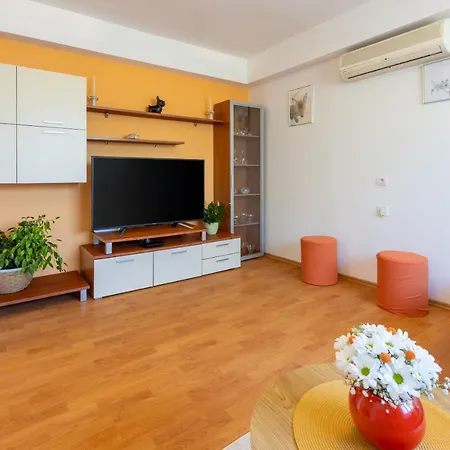 House Forest Paradise