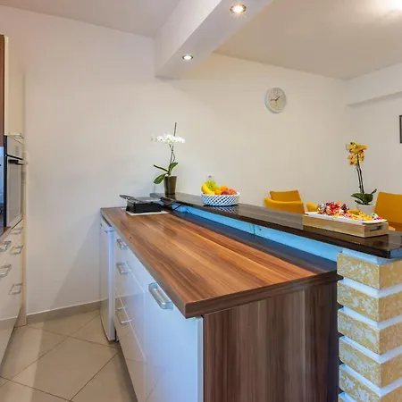 House Forest Paradise