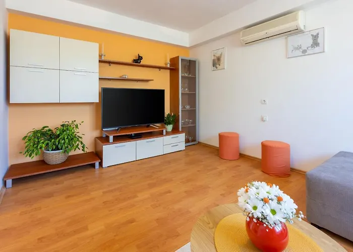 House Forest Paradise